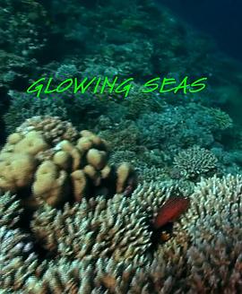 发光的海洋封面图