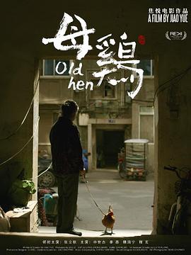 母鸡封面图