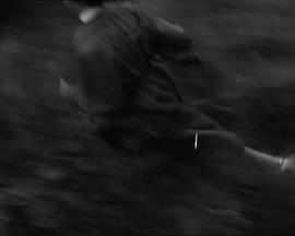 Isabelle aux Dombes封面图