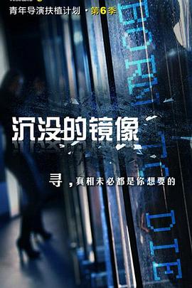 沉没的镜像封面图