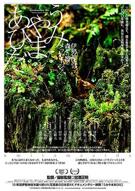 伊势神宫：山海的千年回响封面图