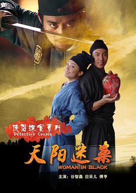 侠侣探案系列之天阳迷案封面图