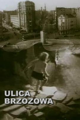 布泽佐瓦街封面图