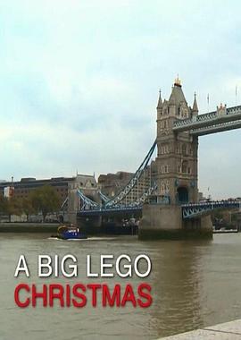 圣诞大乐高封面图