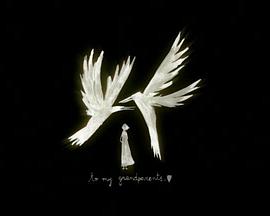 永恒青春之地封面图