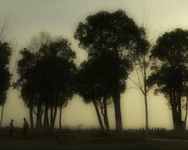 初吻的味道封面图