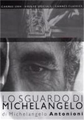 米开朗基罗的凝视封面图