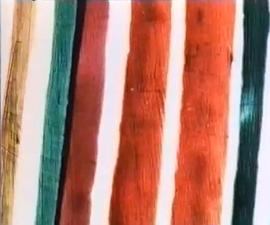 兰姆佩斯人行道封面图