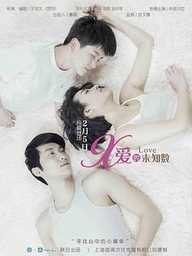 爱的未知数封面图