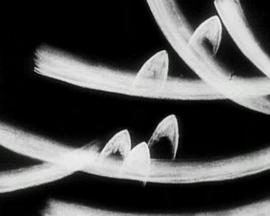 六号研究封面图