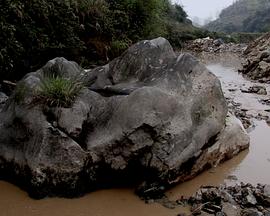 半坟半兽封面图