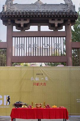 麻辣兄弟之疯狂一夜封面图