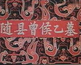 随县曾侯乙墓封面图