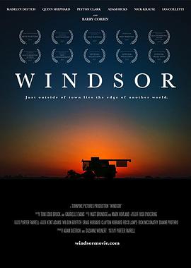 温莎之谜封面图