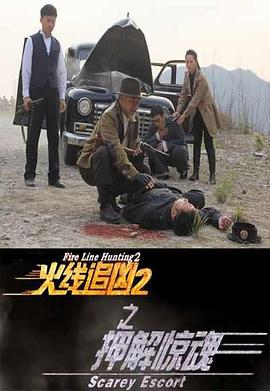 火线追凶2之押解惊魂封面图