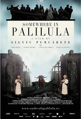 帕利路拉某处封面图