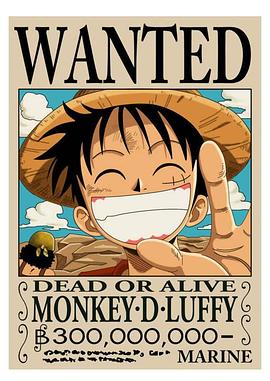 海贼王特别篇2路飞的绝技封面图