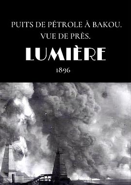 巴克的油田 近距离摄影封面图