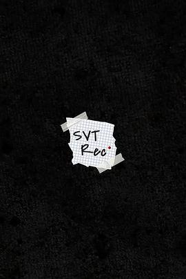 SVT Record 2024封面图