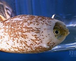 毒液疗法封面图