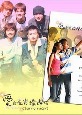 爱在星光灿烂时封面图