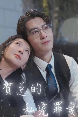 贺总的私宠罪妻封面图