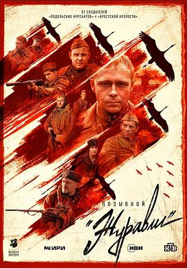 代号“千纸鹤”封面图