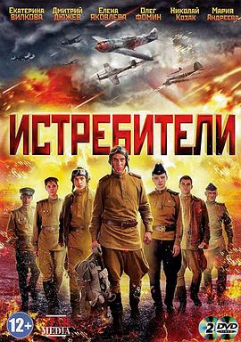 歼击机大队封面图