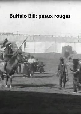 莱德斯金封面图