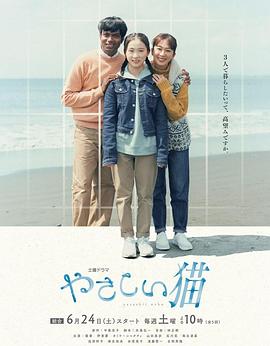 温柔的猫封面图