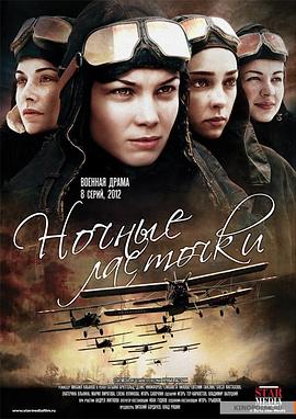 夜间的燕子封面图