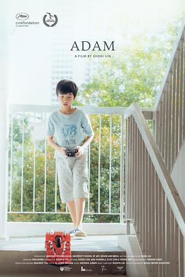 亚当想回家封面图