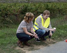 安静依旧封面图