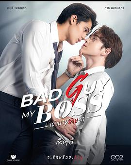 我的“坏”老板封面图