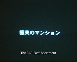 極東のマンション封面图