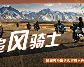 追风骑士封面图