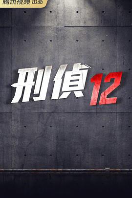 刑侦12封面图