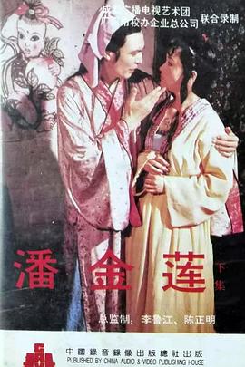 潘金莲新传封面图