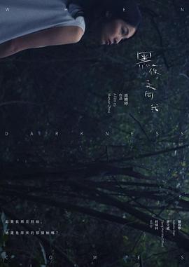 黑夜走向我封面图