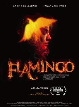 火烈鸟封面图
