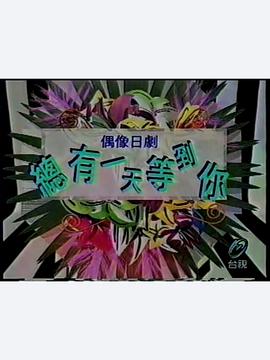 总有一天等到你封面图