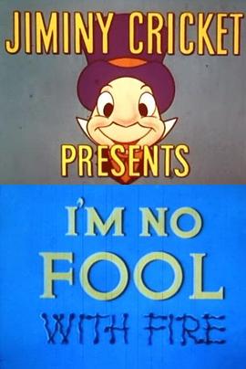 我不是傻瓜：别玩火封面图