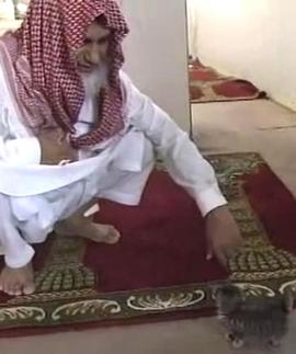 纪实72小时：埼玉・身边的穆斯林封面图