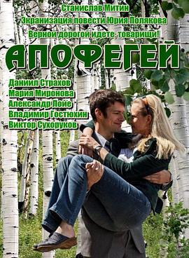 登峰造极封面图