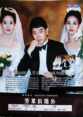 芳草斜阳外封面图