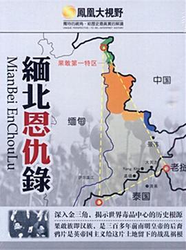 缅北恩仇录封面图