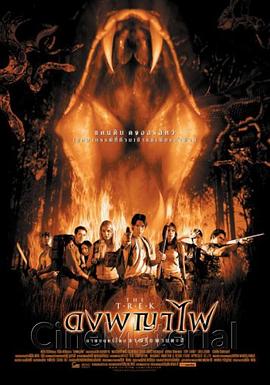 夺命森林封面图