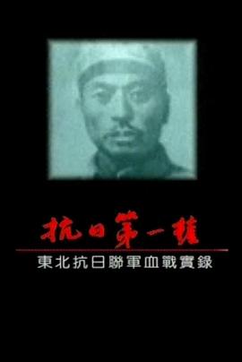 抗战第一枪 东北抗联血战实录封面图