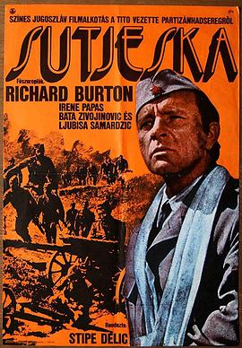 苏捷斯卡战役封面图