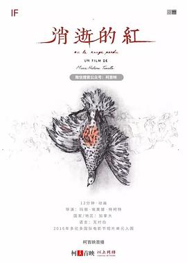 消逝的红封面图